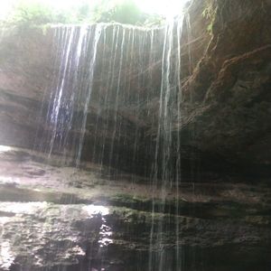 Meet your Posher, Willie